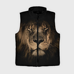 Женский жилет Львиный взгляд