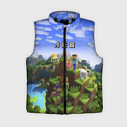 Женский жилет Майнкрафт: Лев, цвет: 3D-черный