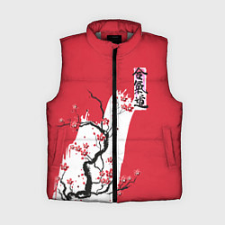 Женский жилет Сакура Айкидо, цвет: 3D-светло-серый