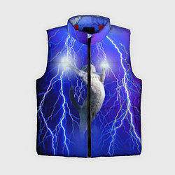 Женский жилет Грозовой кошак