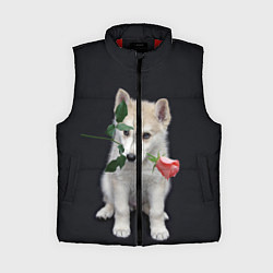 Женский жилет Щенок в подарок, цвет: 3D-красный