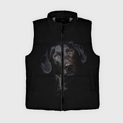 Женский жилет Пес
