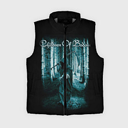 Женский жилет Children of Bodom 14, цвет: 3D-светло-серый