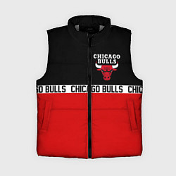 Женский жилет CHICAGO BULLS, цвет: 3D-светло-серый