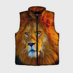 Женский жилет Лев 3D, цвет: 3D-черный