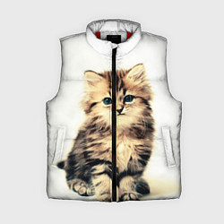 Женский жилет Котёнок, цвет: 3D-красный