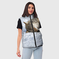 Женский жилет Спящий Волк, цвет: 3D-черный — фото 2