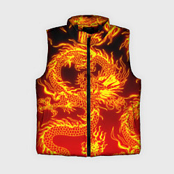 Женский жилет ДРАКОН, цвет: 3D-черный