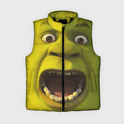 Женский жилет Shrek is Yelling, цвет: 3D-черный
