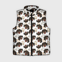 Женский жилет Такса Dachshund Dog, цвет: 3D-черный