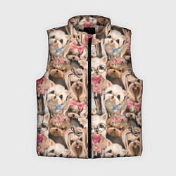 Женский жилет Паттерн йорки