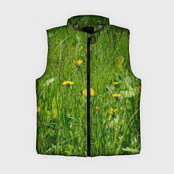 Женский жилет Солнечные одуванчики