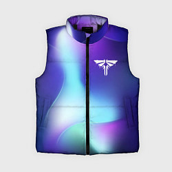 Женский жилет The Last Of Us northern cold, цвет: 3D-черный