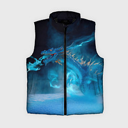 Женский жилет Зимний ледяной дракон
