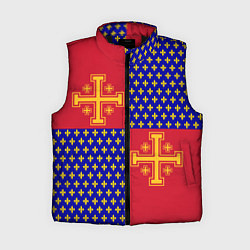 Женский жилет Сюрко рыцарей Антиохии, цвет: 3D-черный