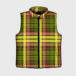 Женский жилет Зелено-красная клетка, цвет: 3D-черный