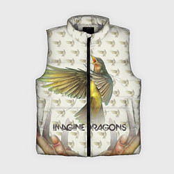 Женский жилет Imagine Dragons: Fly, цвет: 3D-светло-серый
