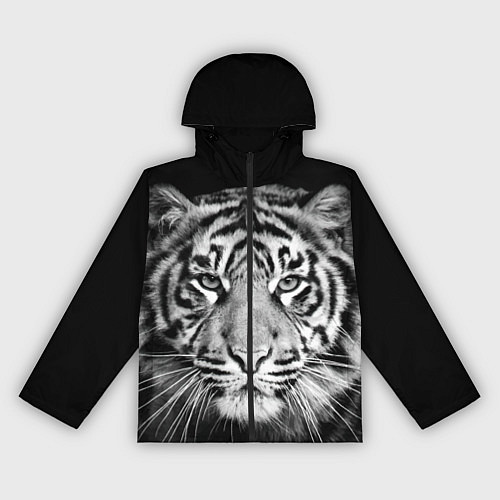Женская ветровка Мордочка тигра / 3D-Черный – фото 1