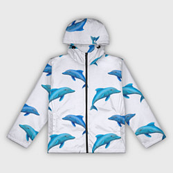 Ветровка с капюшоном женская Рай для дельфина, цвет: 3D-черный