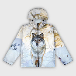 Ветровка с капюшоном женская Я зимой, цвет: 3D-черный