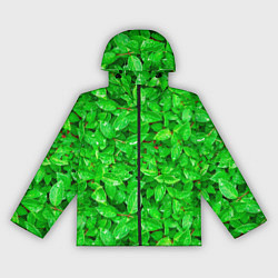 Ветровка с капюшоном женская Зелёные листья - текстура, цвет: 3D-черный