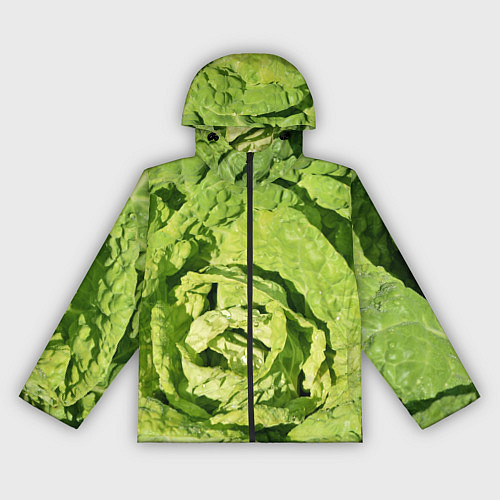 Женская ветровка Свежая капуста / 3D-Черный – фото 1