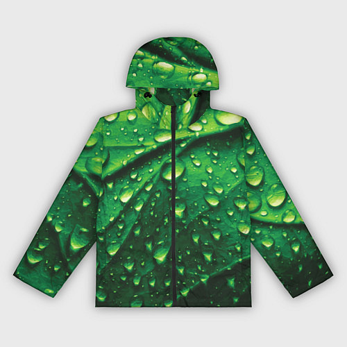 Женская ветровка Утренняя роса / 3D-Черный – фото 1