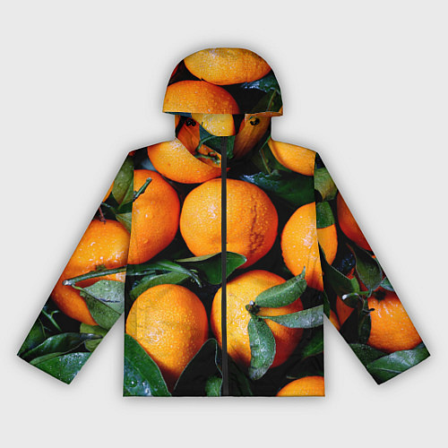 Женская ветровка Гора мандаринов апельсинов и листьев на Новый год / 3D-Черный – фото 1