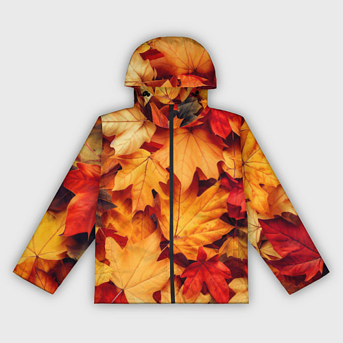 Женская ветровка Осенние кленовые листья / 3D-Черный – фото 1