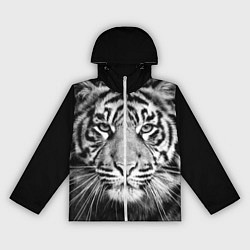 Ветровка с капюшоном женская Красавец тигр, цвет: 3D-белый